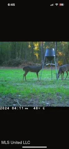 $839,500 | 12371 Mcnair Road, Roxie, MS 39661