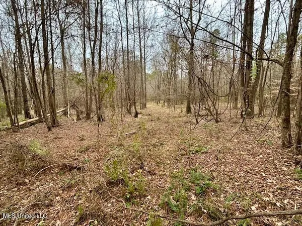 $839,500 | 12371 Mcnair Road, Roxie, MS 39661