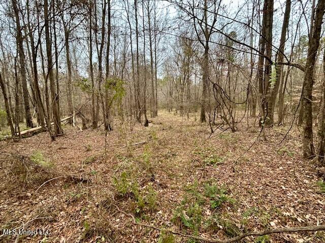 12371 Mcnair Road Roxie, MS 39661 - Photo 66 of 67 IMG_4635