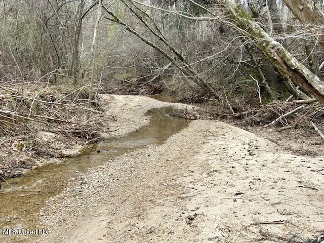 $839,500 | 12371 Mcnair Road, Roxie, MS 39661