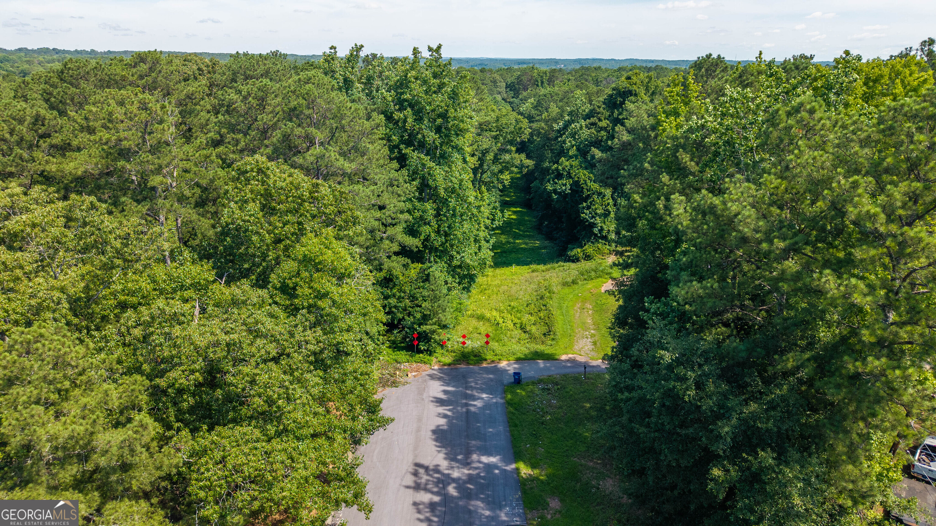 3.87-acres Delano Road South Fulton, GA 30349 - Photo 8 of 10