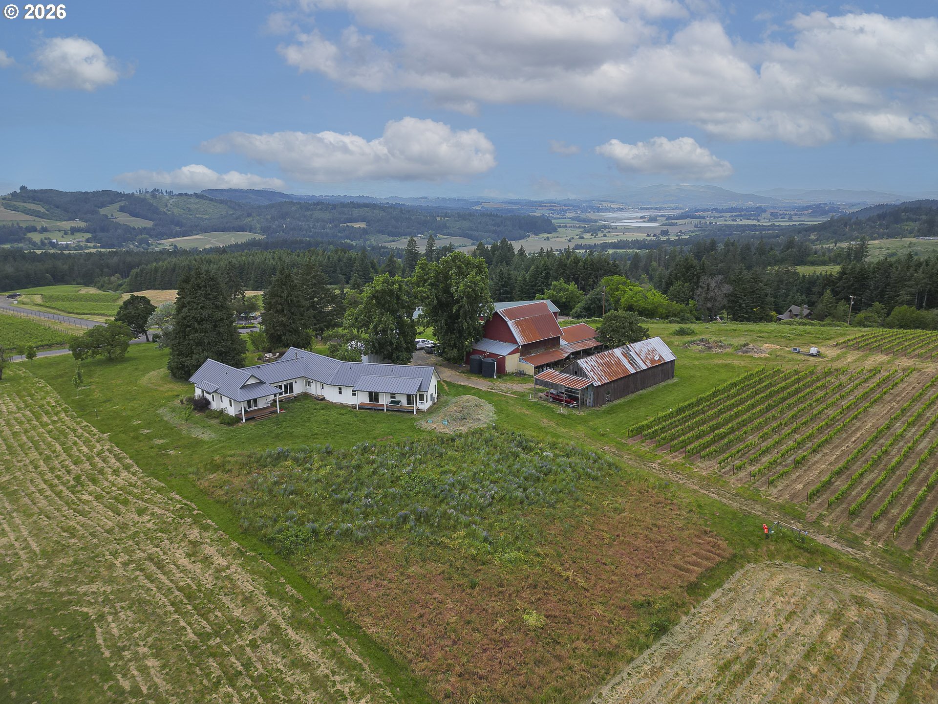 21080 Northeast Ribbon Ridge Road Newberg, OR 97132 - Photo 3 of 45