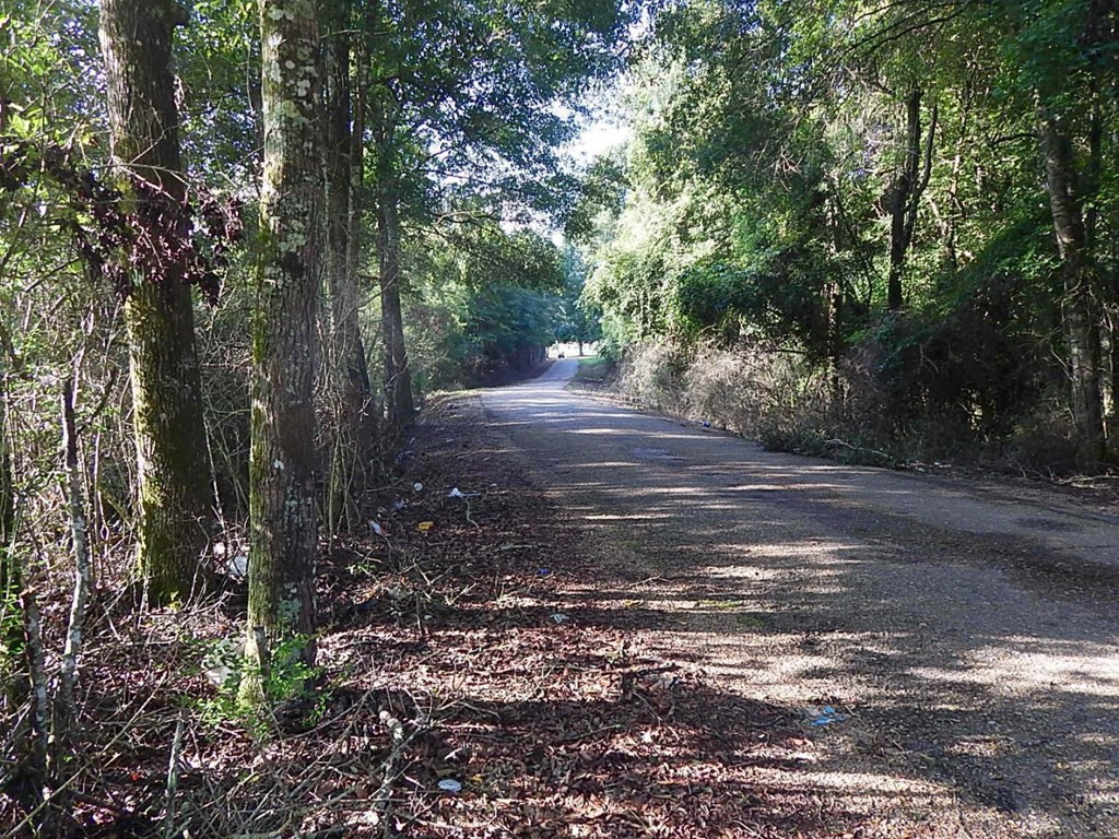 0 Magee Hill Road Tylertown, MS 39667 - Photo 3 of 19 Photo 3