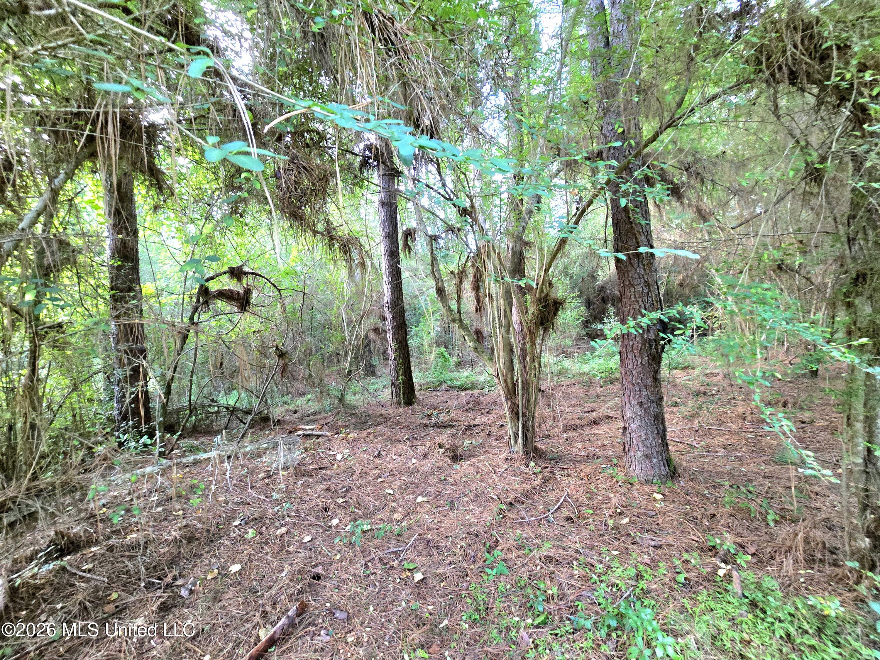 1189 Shady Grove Road Osyka, MS 39657 - Photo 25 of 27 20260622_183232
