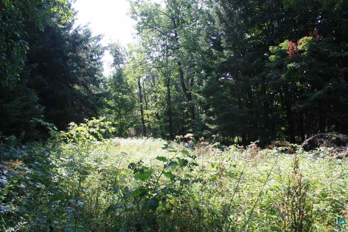 5019 County Rd F Maple, WI 54854 - Photo 2 of 18