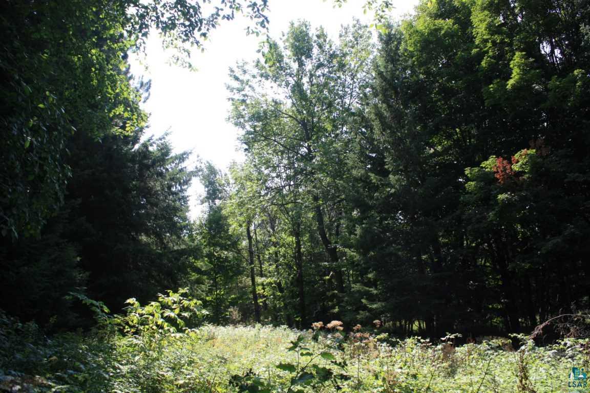 5019 County Rd F Maple, WI 54854 - Photo 3 of 18