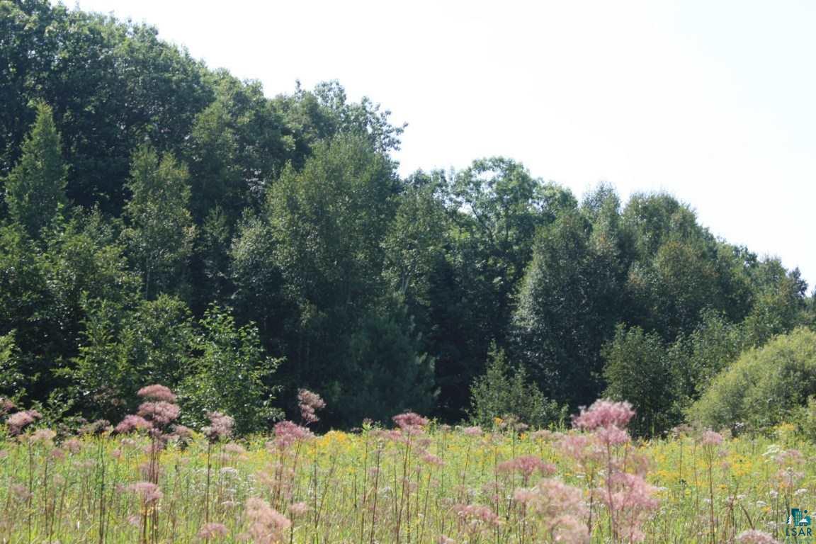 5019 County Rd F Maple, WI 54854 - Photo 7 of 18