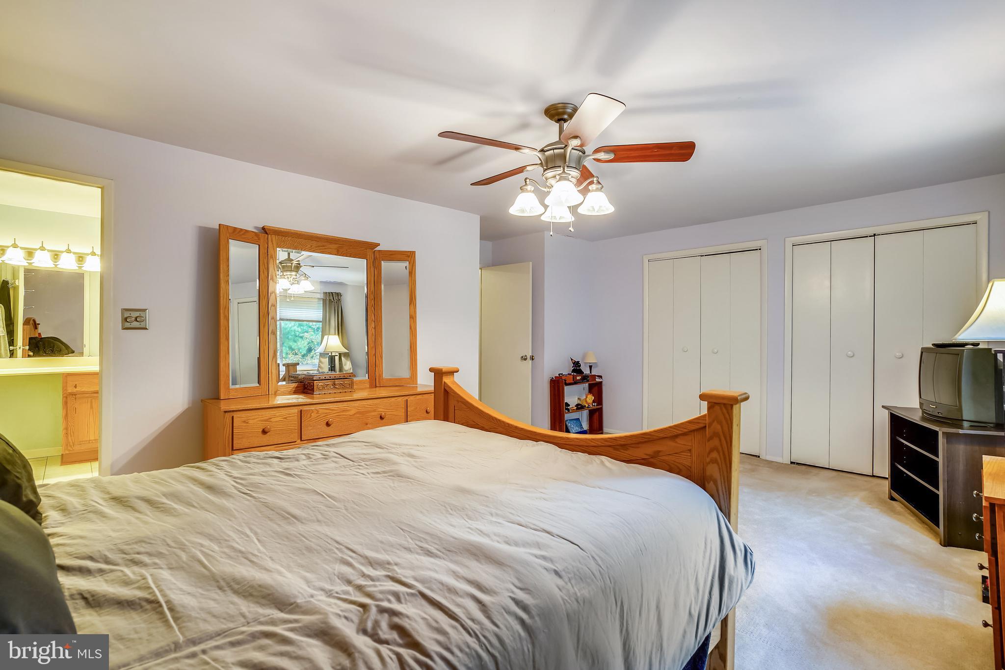 9753 Early Spring Way Columbia, MD 21046 - Photo 20 of 29 double closets