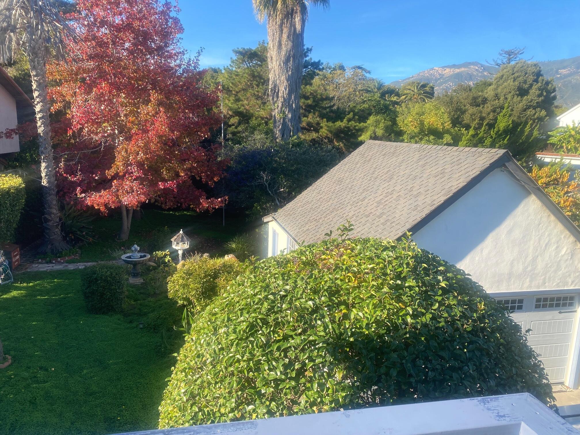 324 Arden Road Santa Barbara, CA 93105 - Photo 15 of 17 a view of a backyard