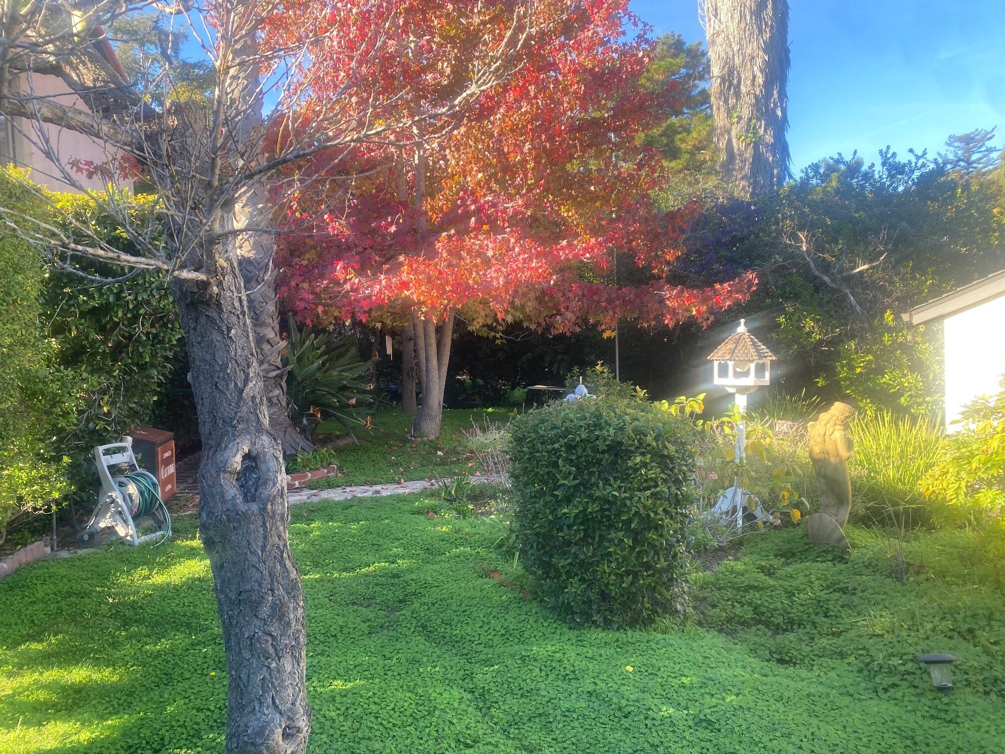 324 Arden Road Santa Barbara, CA 93105 - Photo 16 of 17 a view of a garden