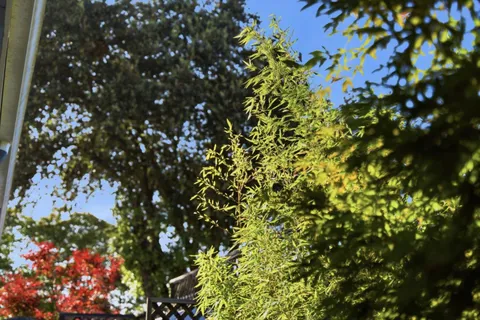 $2,899,000 | 852 Peach Avenue, Sunnyvale, CA 94087
