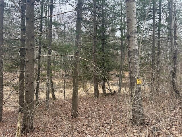 4411 Truman Road Barryton, MI 49305 - Photo 11 of 30 IMG_0177