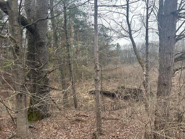 4411 Truman Road Barryton, MI 49305 - Photo 26 of 30 IMG_0187