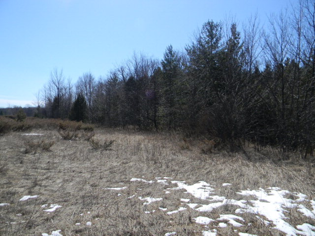 Timberline Creek Ellison Bay, WI 54210 - Photo 5 of 6