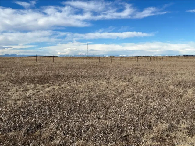 a view of a yard with an outdoor space