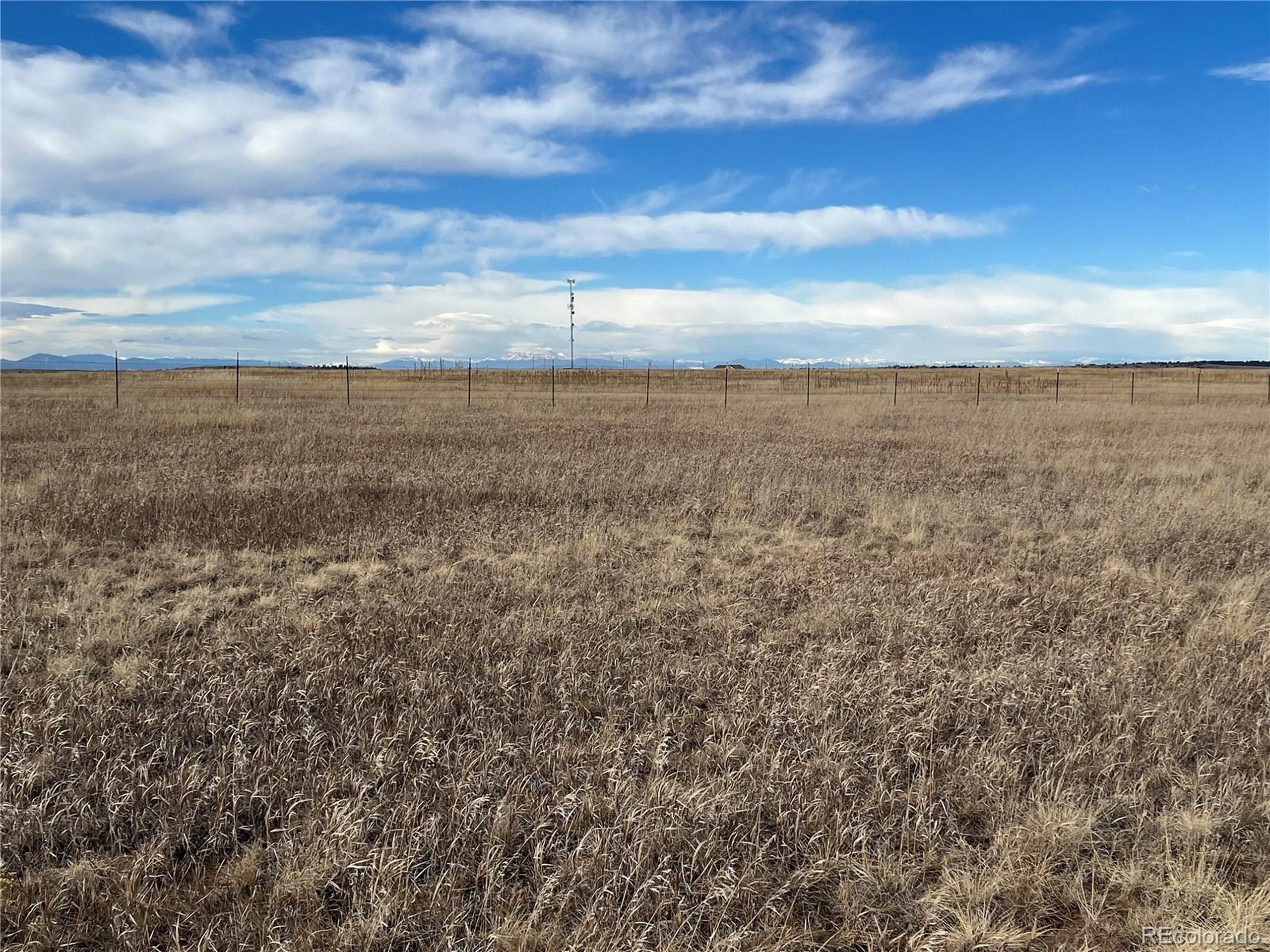 41 Rd Elbert Co 80106 Elbert, CO 80106 - Photo 9 of 27 a view of a yard with an outdoor space