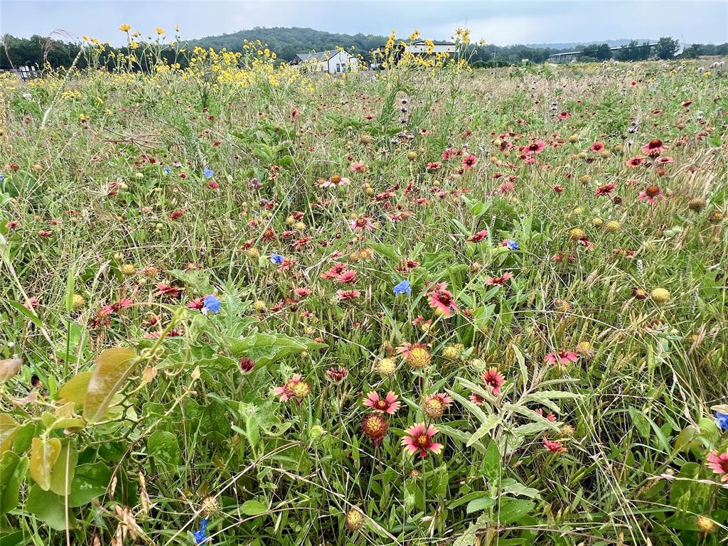 7 South Rnch Drive Graham, TX 76450 - Photo 19 of 34