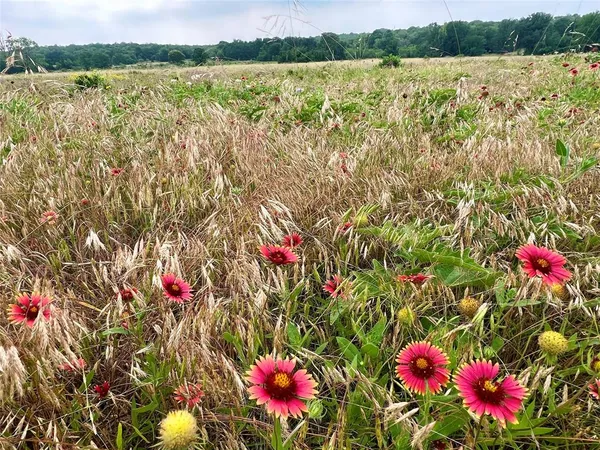 $225,000 | 7 South Rnch Drive, Graham, TX 76450