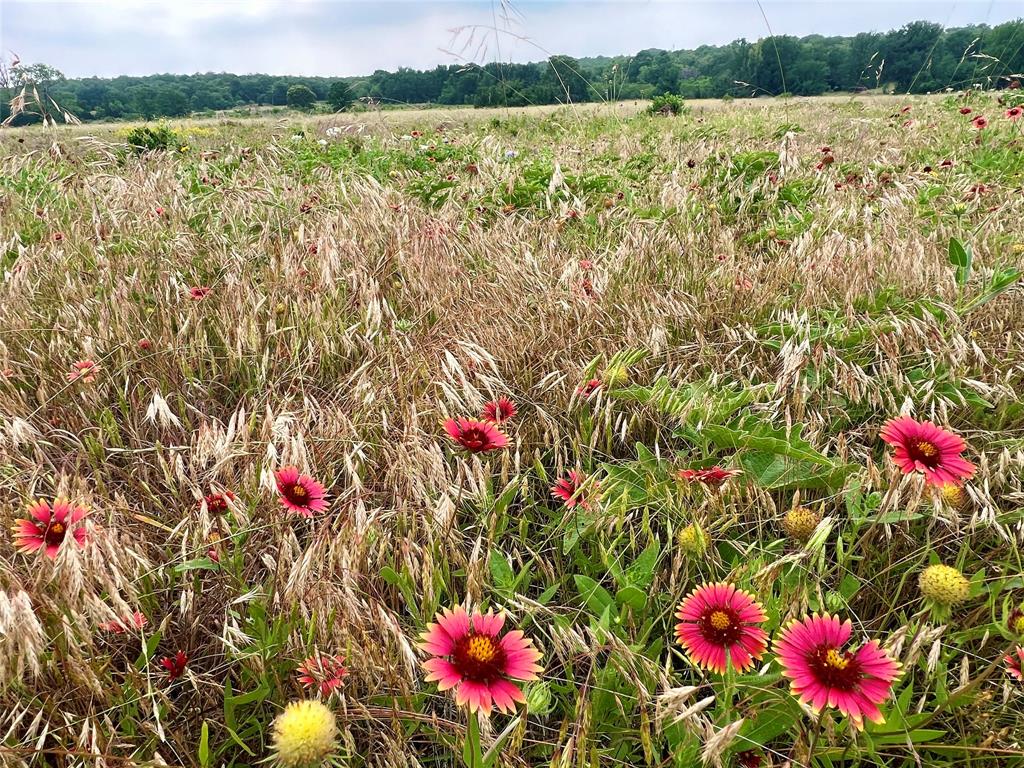 7 South Rnch Drive Graham, TX 76450 - Photo 9 of 34