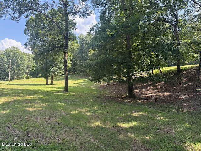 2555 Laws Hill Road Holly Springs, MS 38635 - Photo 11 of 12 Bottom Corner to Middle Field