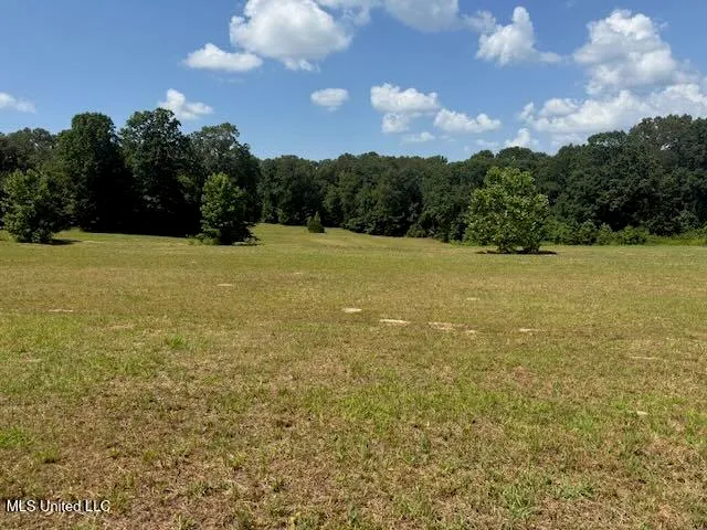 $335,000 | 2555 Laws Hill Road, Holly Springs, MS 38635