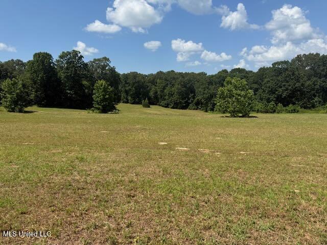 2555 Laws Hill Road Holly Springs, MS 38635 - Photo 2 of 12 Field 1A