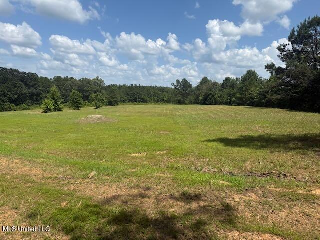 2555 Laws Hill Road Holly Springs, MS 38635 - Photo 3 of 12 Field 1