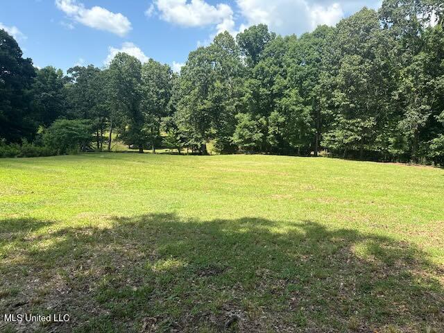 2555 Laws Hill Road Holly Springs, MS 38635 - Photo 4 of 12 Middle Field