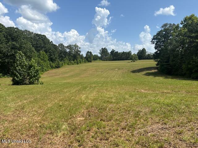 2555 Laws Hill Road Holly Springs, MS 38635 - Photo 5 of 12 Middle to Front Field