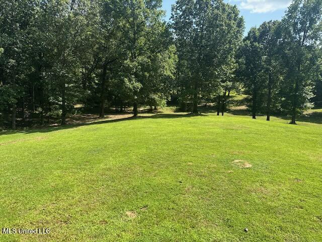 2555 Laws Hill Road Holly Springs, MS 38635 - Photo 7 of 12 Back Corner to Middle Field 2