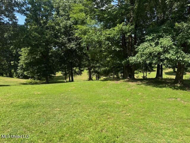 2555 Laws Hill Road Holly Springs, MS 38635 - Photo 9 of 12 Side Stake back towards bottom