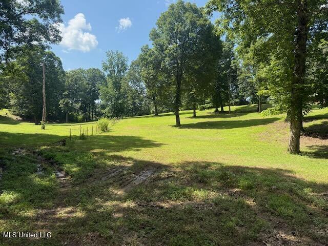 2555 Laws Hill Road Holly Springs, MS 38635 - Photo 10 of 12 Bottom at gate
