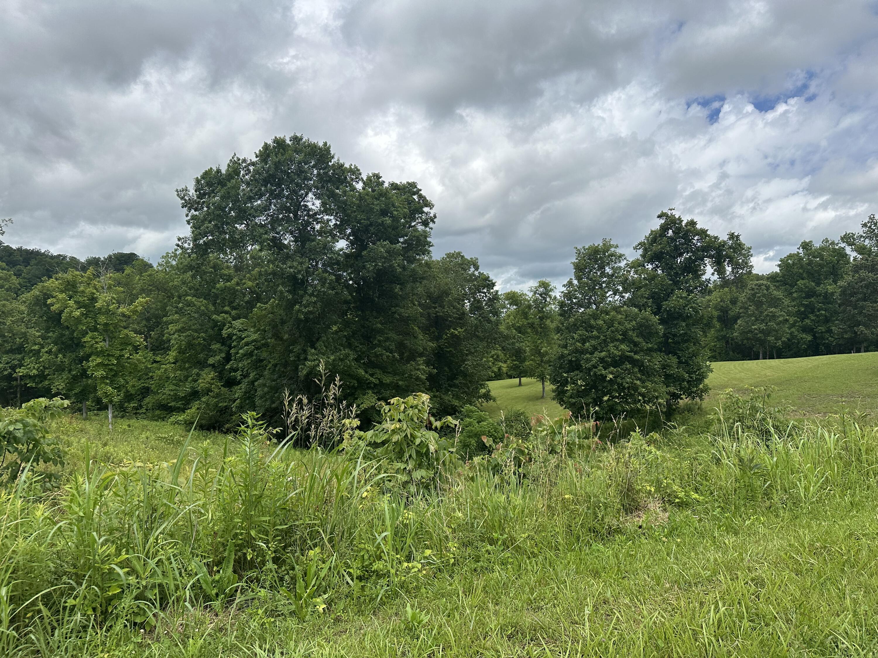 1431 Burton Williams Road Irvine, KY 40336 - Photo 6 of 11 IMG_1434