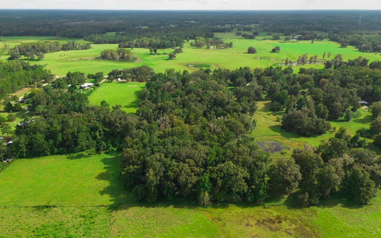 4500 Turner Road Perry, FL 32348 - Photo 1 of 15 Gallery Image 1