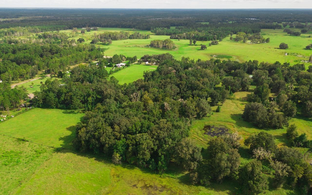 4500 Turner Road Perry, FL 32348 - Photo 2 of 15 Gallery Image 2