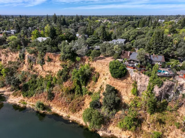 a view of a yard with plants