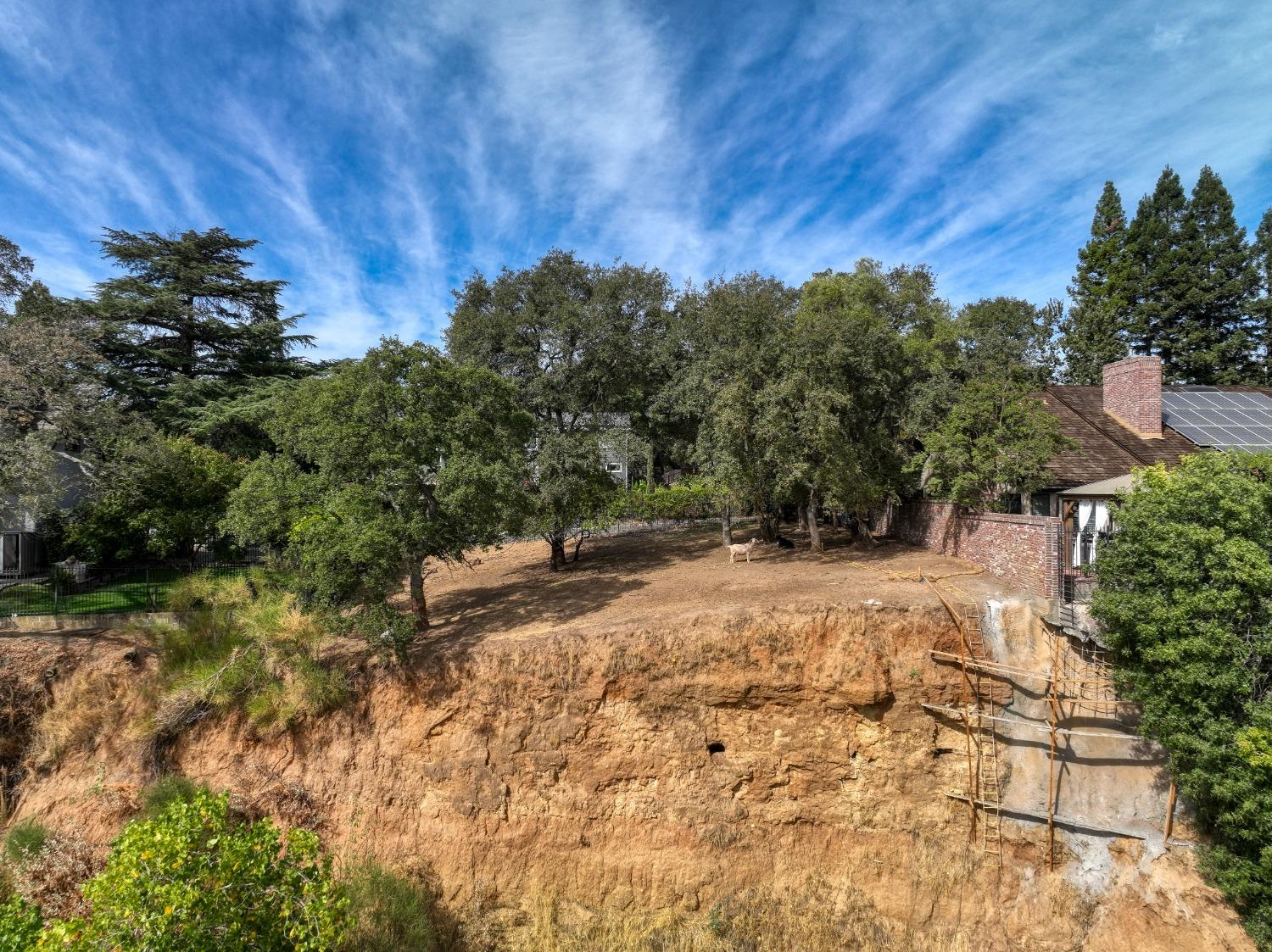 0 Ridge Street Fair Oaks, CA 95628 - Photo 5 of 13 a view of a yard with plants and a trees