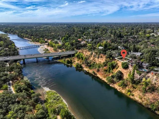 a view of a forest with a street