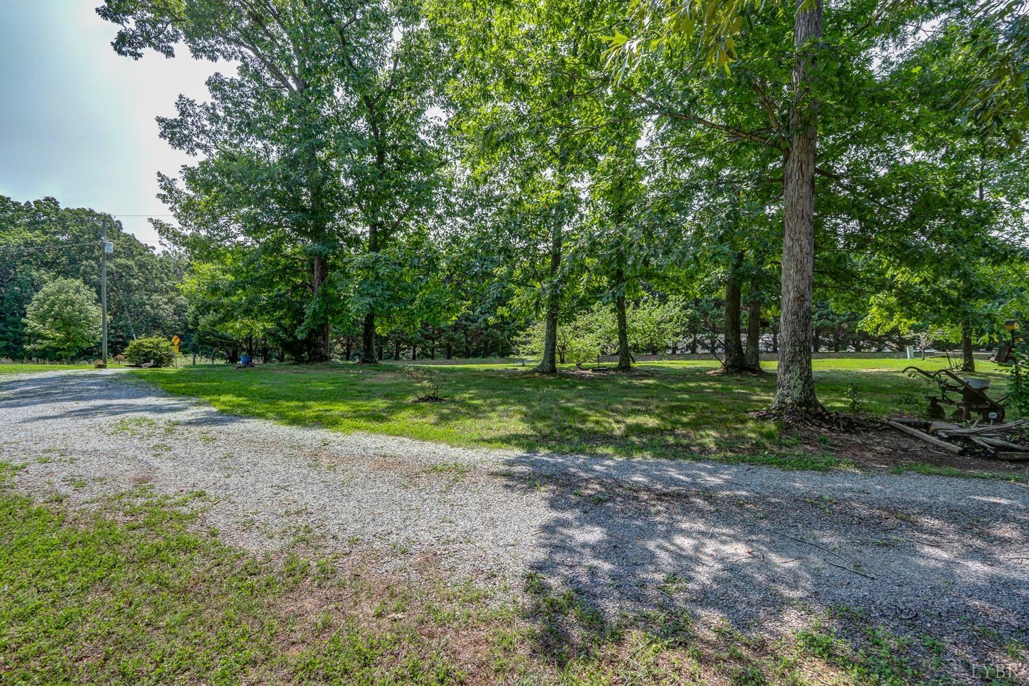 699 Gladys Road Gladys, VA 24554 - Photo 8 of 47 a view of a park with large trees