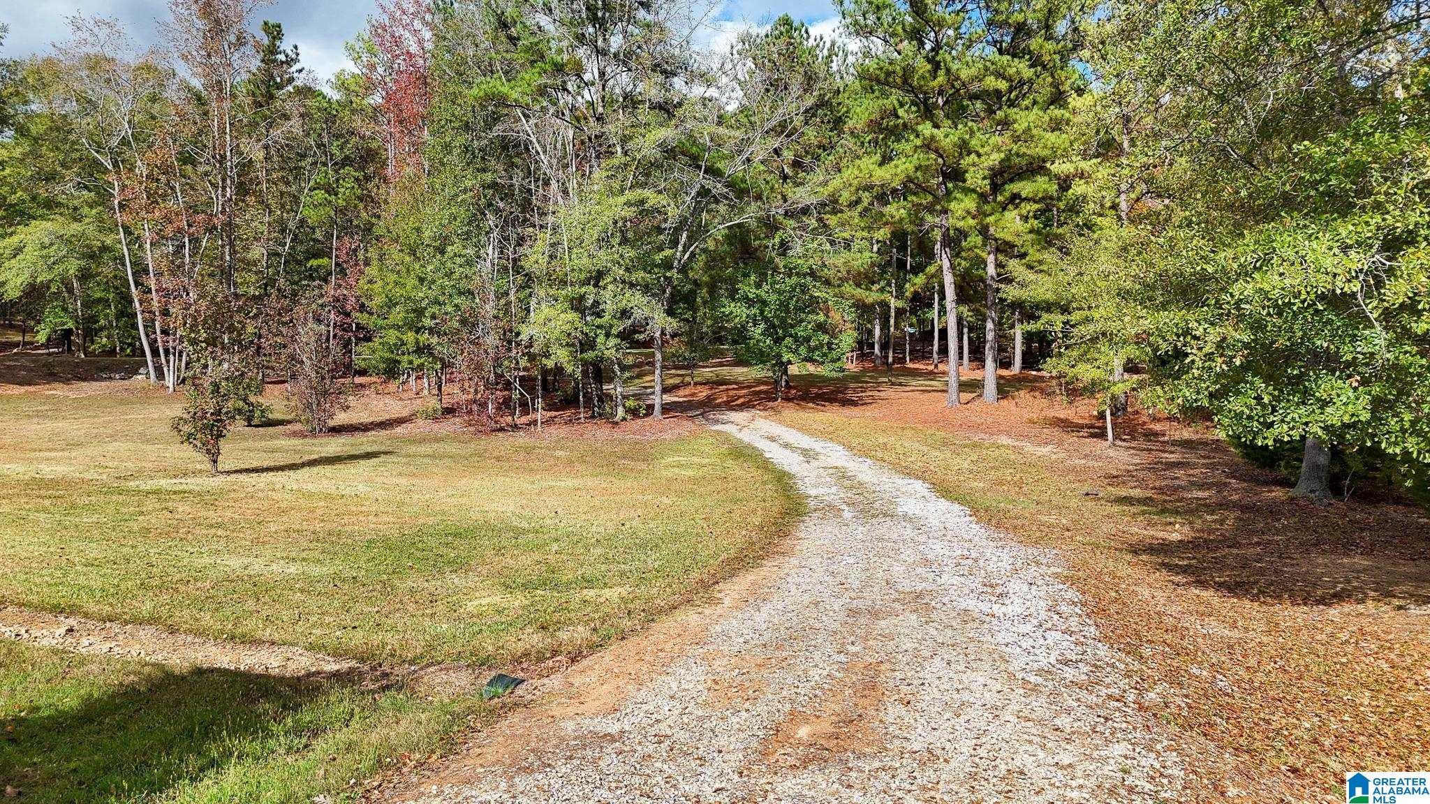 560 Davis Acres Drive Alpine, AL 35014 - Photo 9 of 9