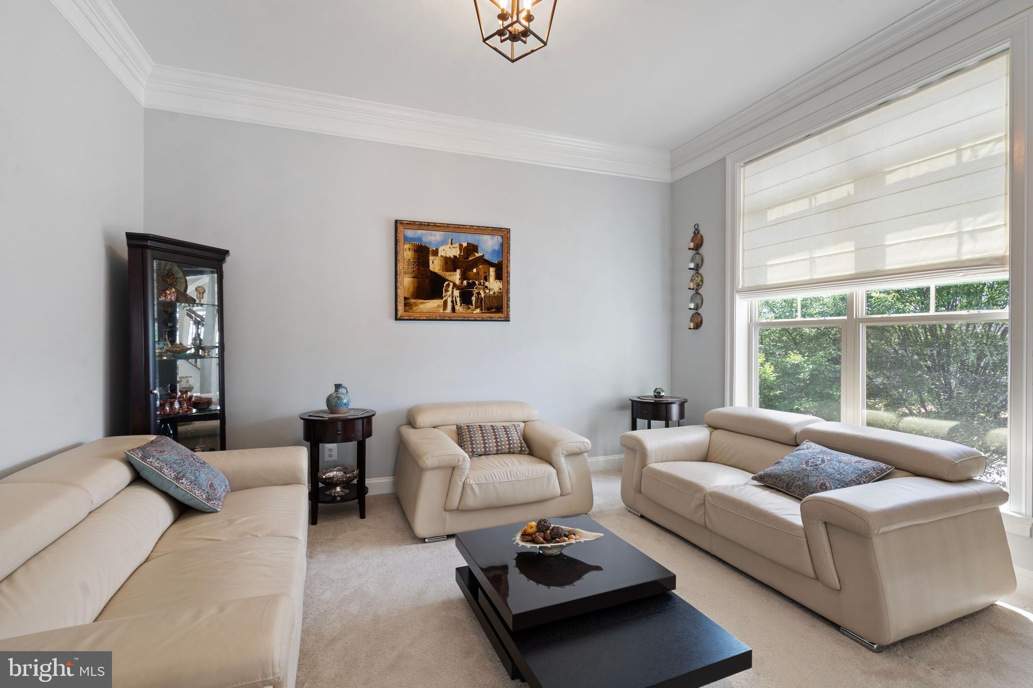 42735 Macauley Place Ashburn, VA 20148 - Photo 7 of 39 a living room with furniture and a window