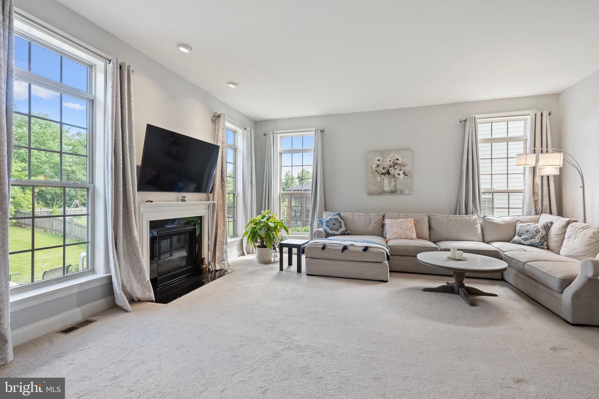 42735 Macauley Place Ashburn, VA 20148 - Photo 8 of 39 a living room with furniture a flat screen tv and a fireplace