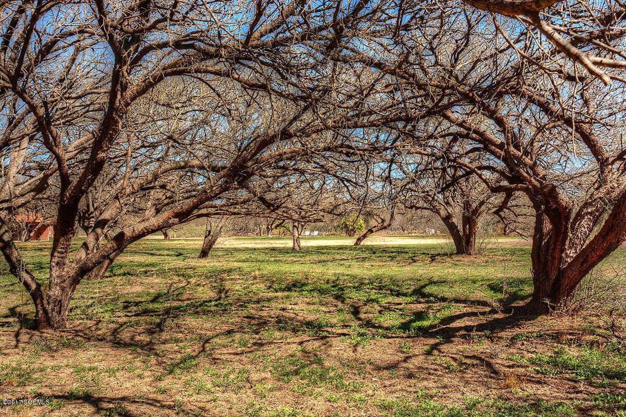 174 Bridge Road Tubac, AZ 85646 - Photo 24 of 28