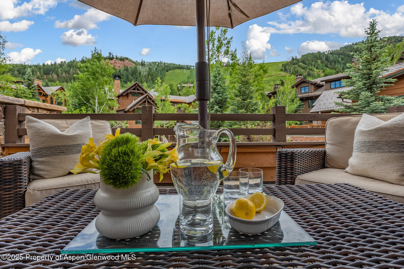 51 Thunderbowl Lane, Unit 12 Aspen, CO 81611 - Photo 13 of 59 92_51_Thunderbowl_Unit_12092_mls