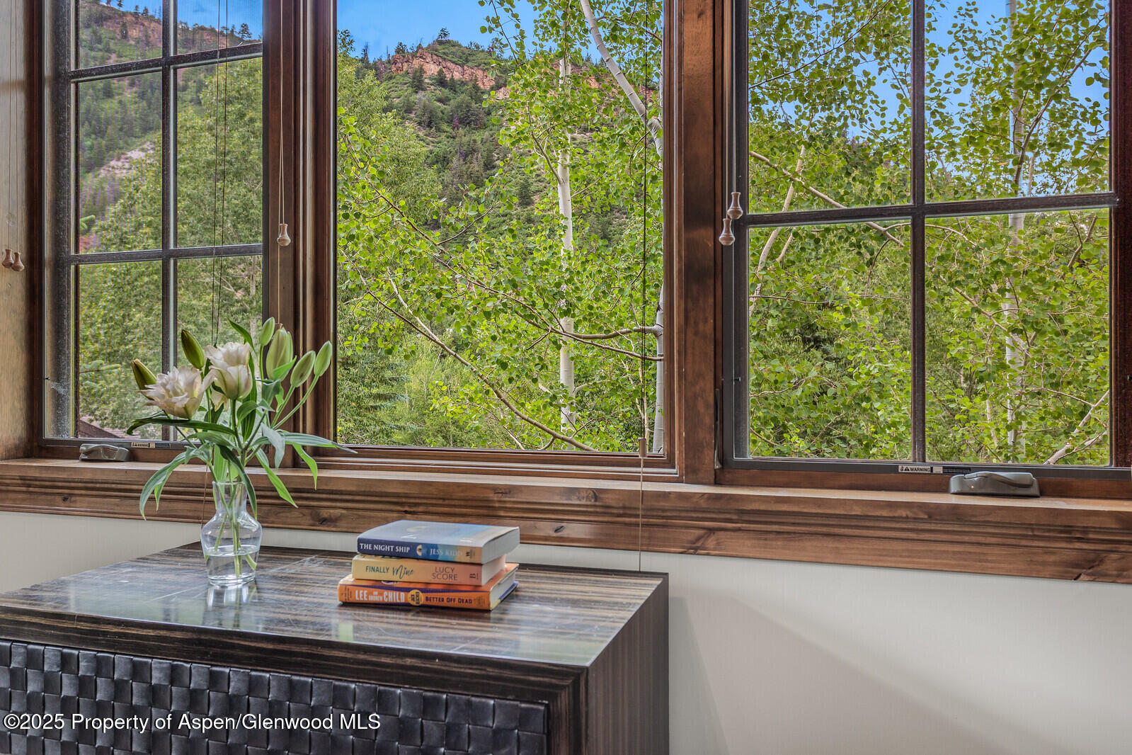 51 Thunderbowl Lane, Unit 12 Aspen, CO 81611 - Photo 21 of 59 78_51_Thunderbowl_Unit_12078_mls