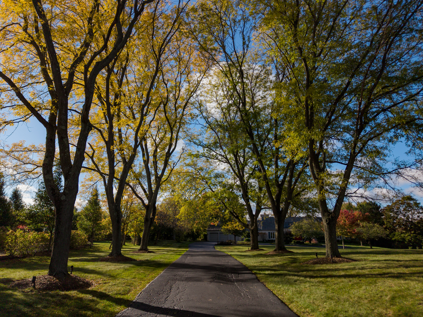 418 West County Line Road Barrington, IL 60010 - Photo 2 of 25 a view of park space
