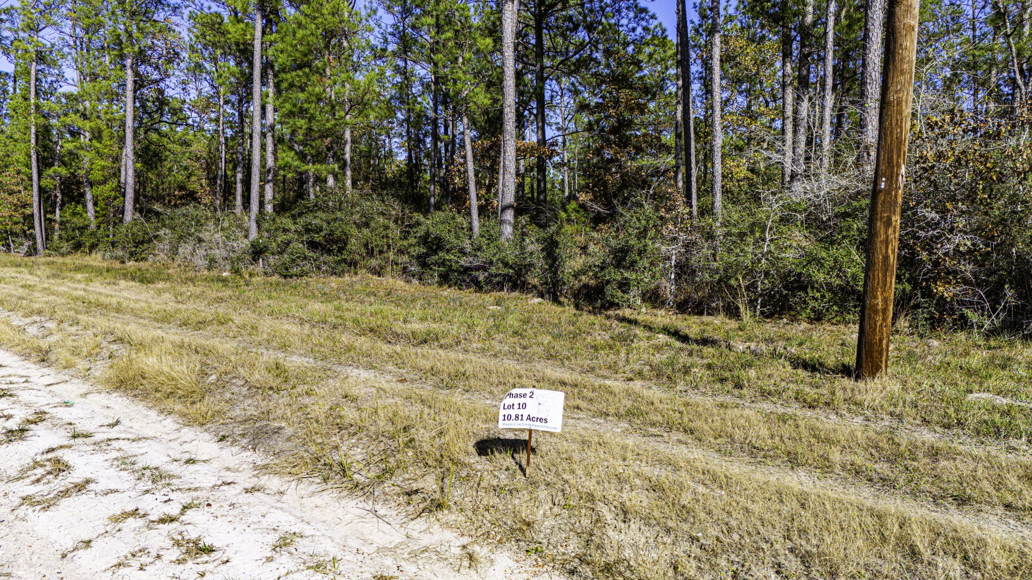 210 Sportsman Retreat Road Onalaska, TX 77360 - Photo 5 of 13