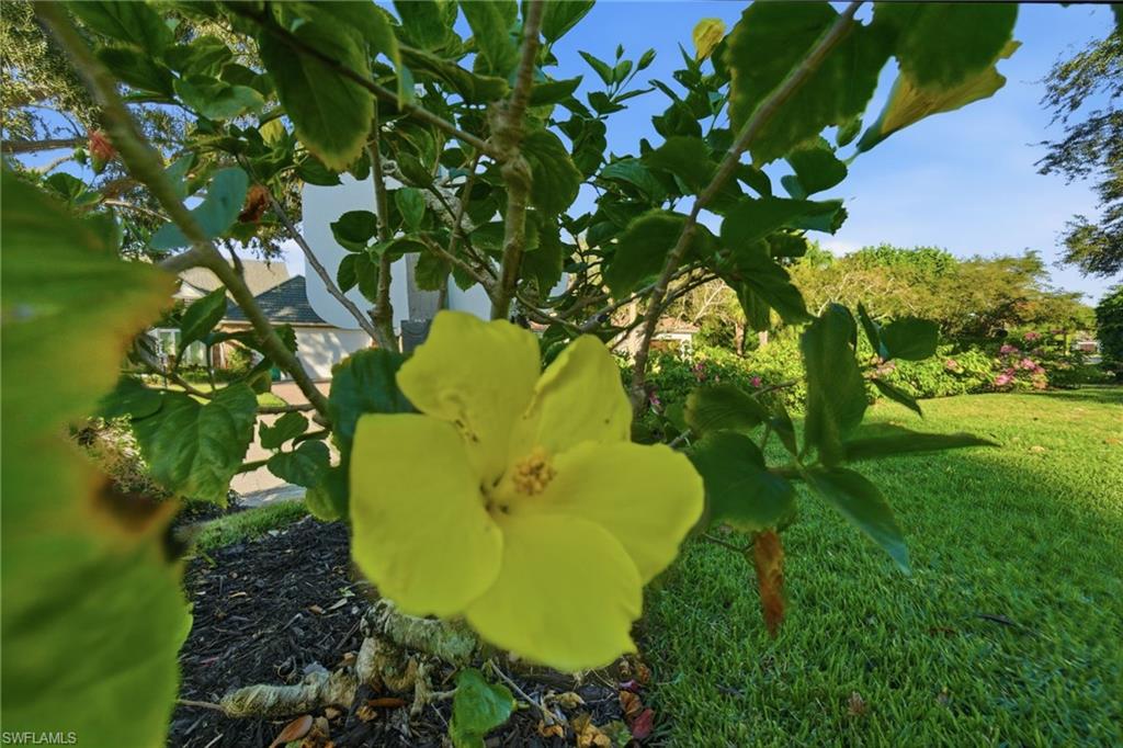 716 Pitch Apple Lane Naples, FL 34108 - Photo 12 of 36 a view of a garden