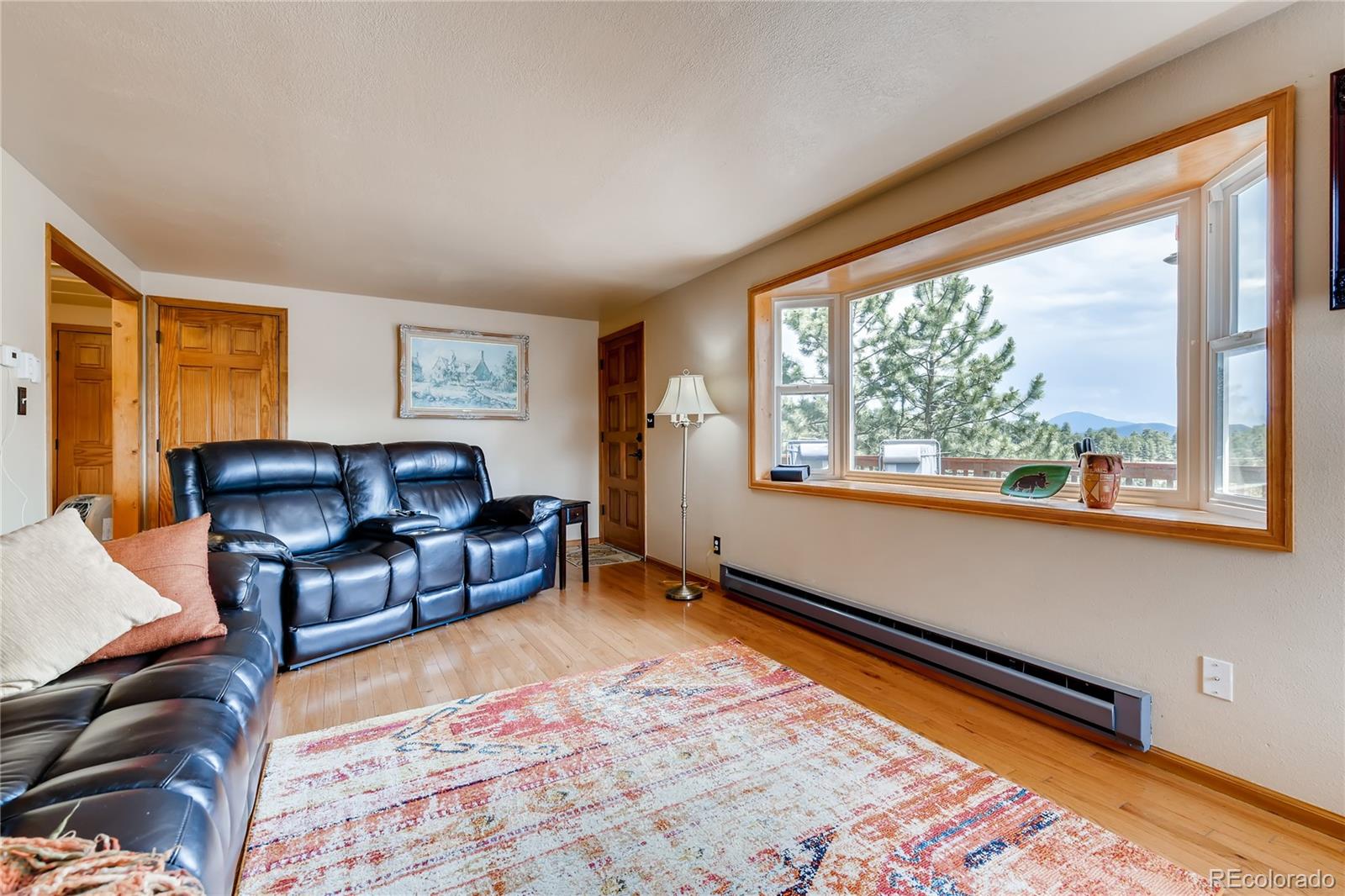 436 Juniper Lane Bailey, CO 80421 - Photo 9 of 33 Gallery Image 9