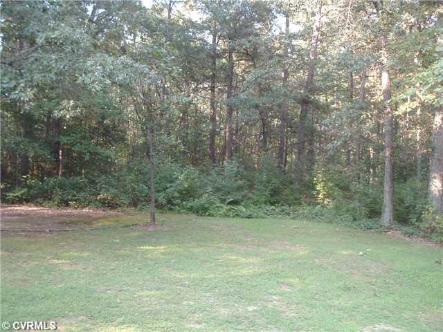 20625 Rowanty Road Carson, VA 23830 - Photo 3 of 12